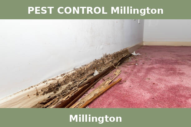 PEST CONTROL Millington
